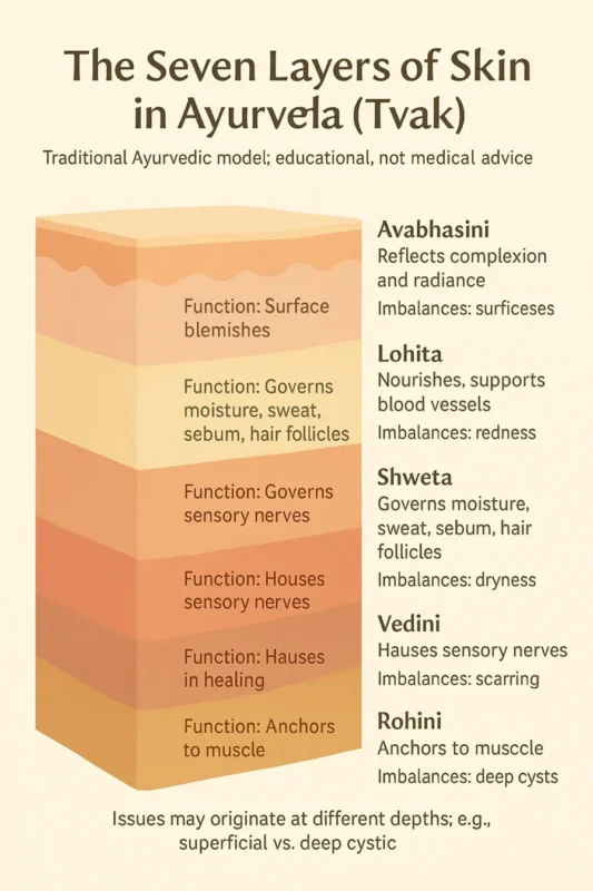The Seven Layers of Skin in Ayurveda